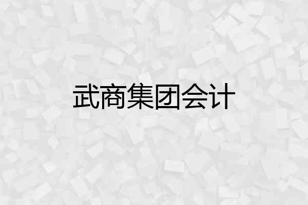武商集团会计