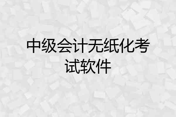 中级会计无纸化考试软件