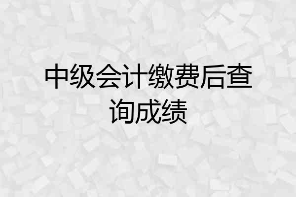 中级会计缴费后查询成绩