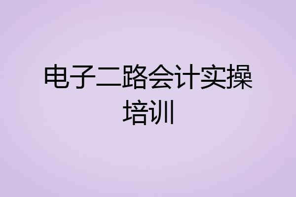 电子二路会计实操培训