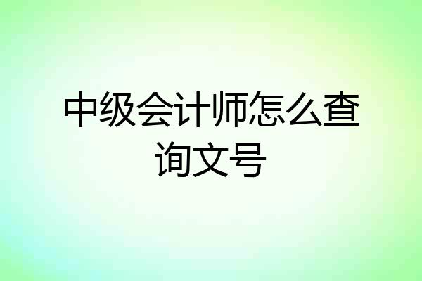 中级会计师怎么查询文号
