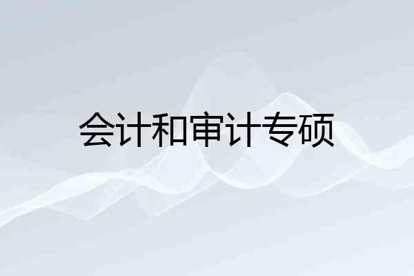 会计和审计专硕