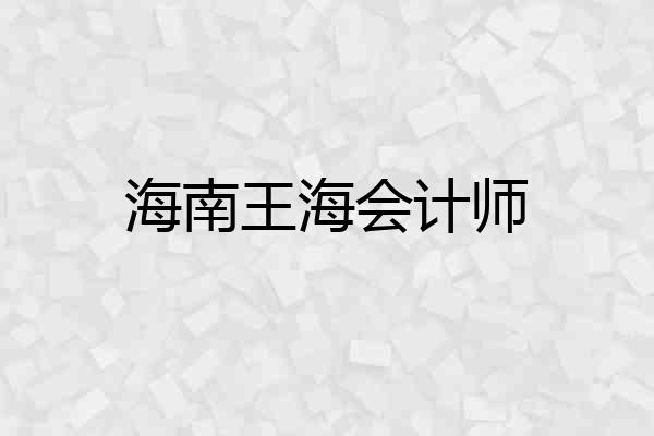 海南王海会计师
