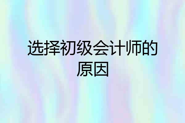 选择初级会计师的原因