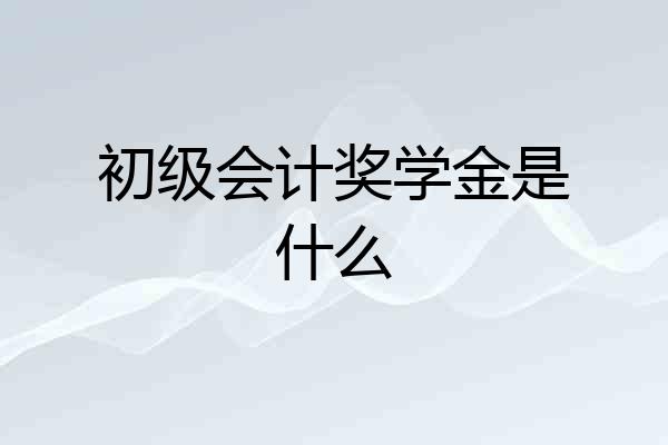 初级会计奖学金是什么