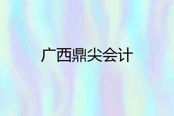 广西鼎尖会计