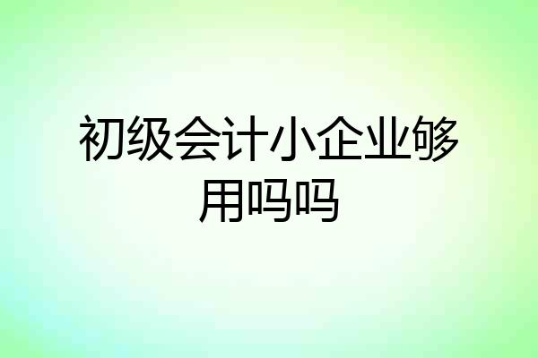 初级会计小企业够用吗吗