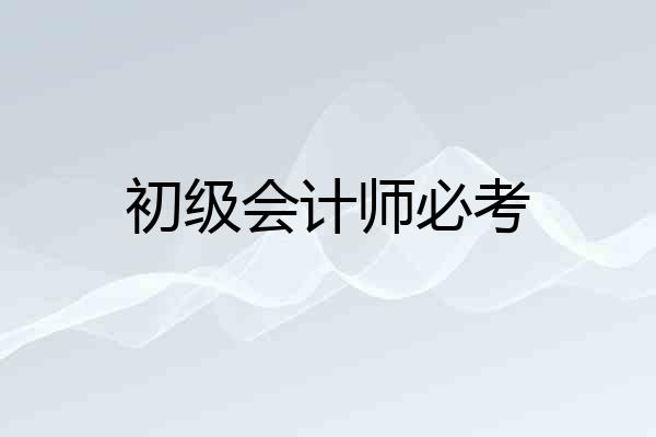 初级会计师必考