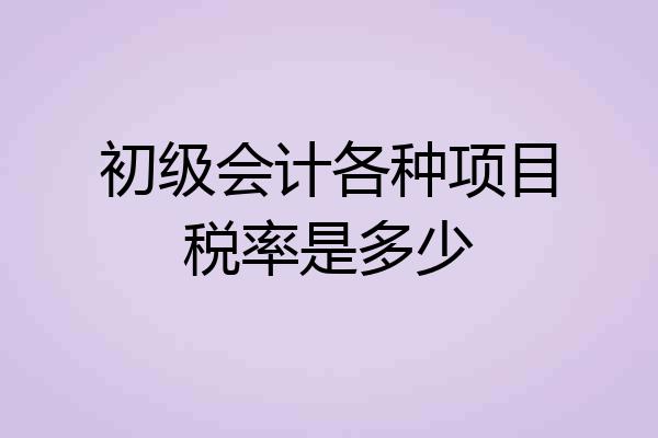 初级会计各种项目税率是多少