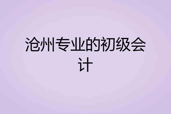 沧州专业的初级会计