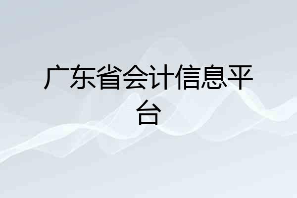 广东省会计信息平台