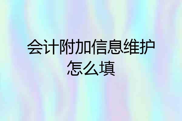会计附加信息维护怎么填