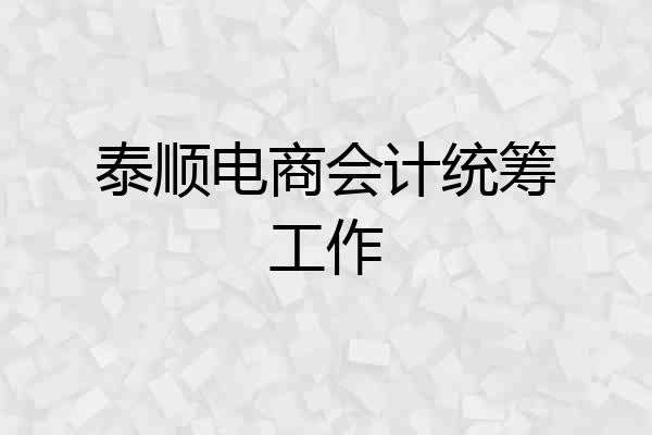 泰顺电商会计统筹工作
