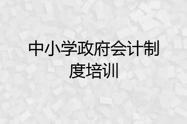 中小学政府会计制度培训