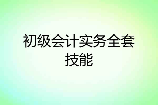 初级会计实务全套技能