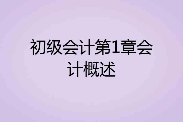 初级会计第1章会计概述
