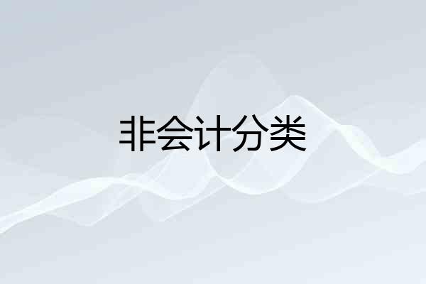 非会计分类