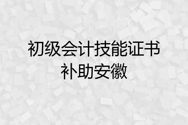 初级会计技能证书补助安徽