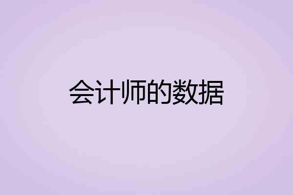 会计师的数据