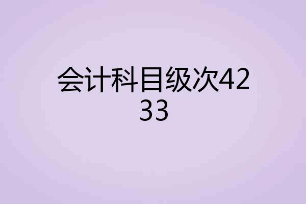 会计科目级次4233