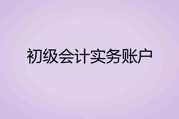 初级会计实务账户