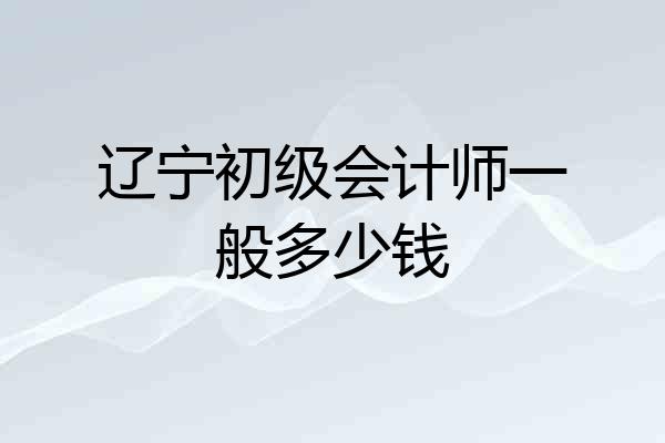 辽宁初级会计师一般多少钱