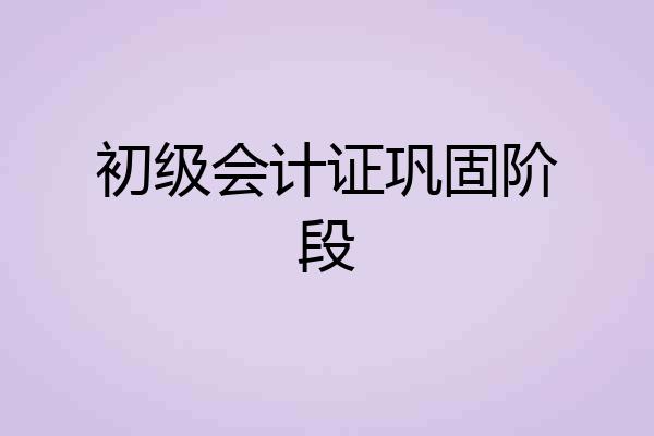初级会计证巩固阶段