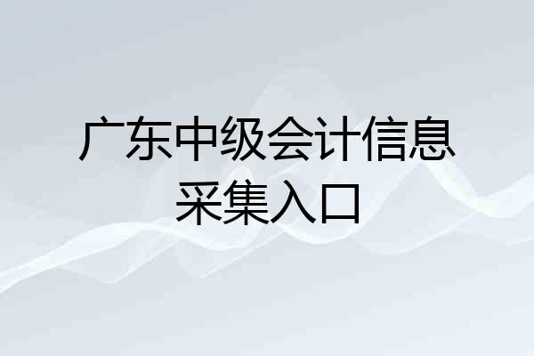 广东中级会计信息采集入口