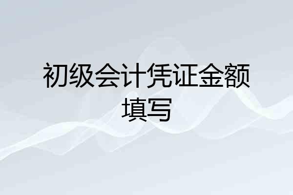 初级会计凭证金额填写