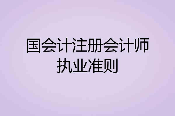 国会计注册会计师执业准则