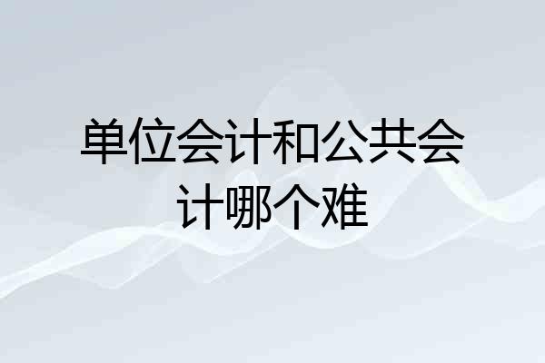 单位会计和公共会计哪个难