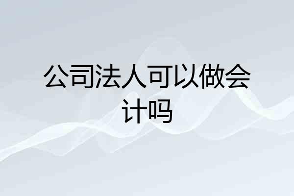 公司法人可以做会计吗