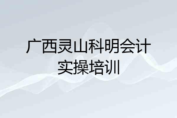 广西灵山科明会计实操培训