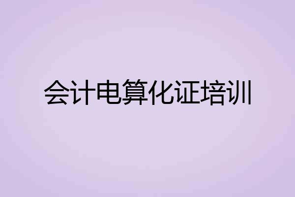 会计电算化证培训