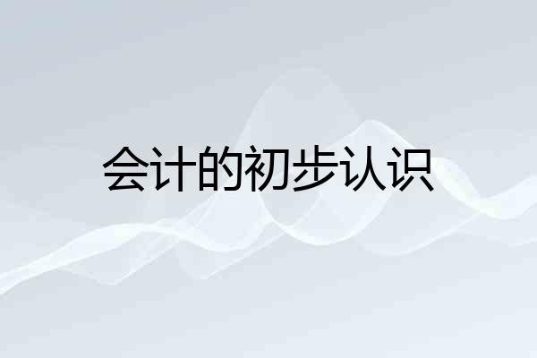 会计的初步认识