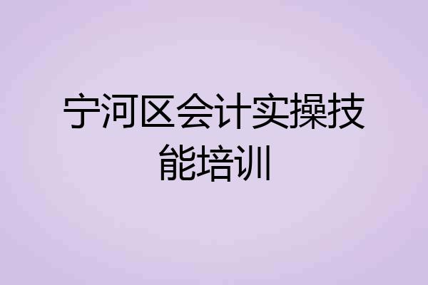 宁河区会计实操技能培训