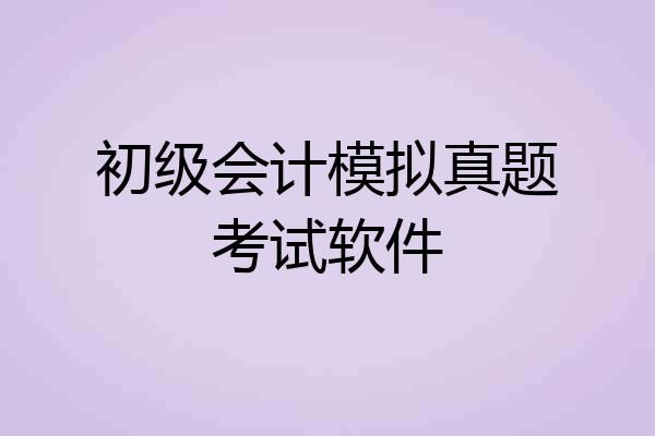 初级会计模拟真题考试软件