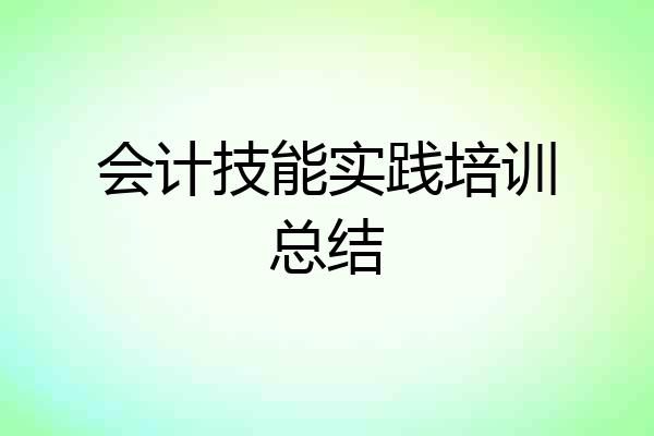 会计技能实践培训总结