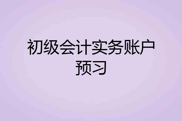 初级会计实务账户预习