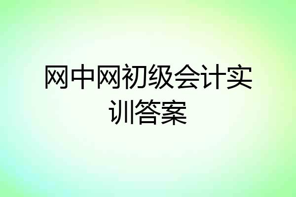 网中网初级会计实训答案