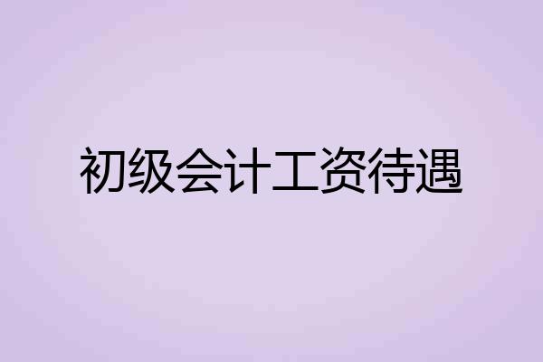 初级会计工资待遇