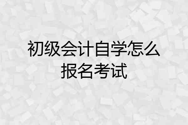初级会计自学怎么报名考试