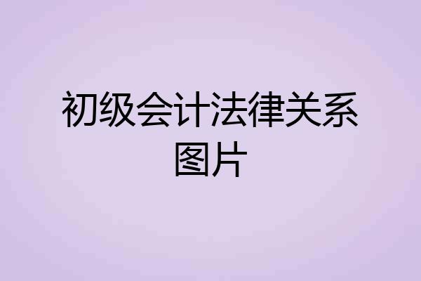 初级会计法律关系图片