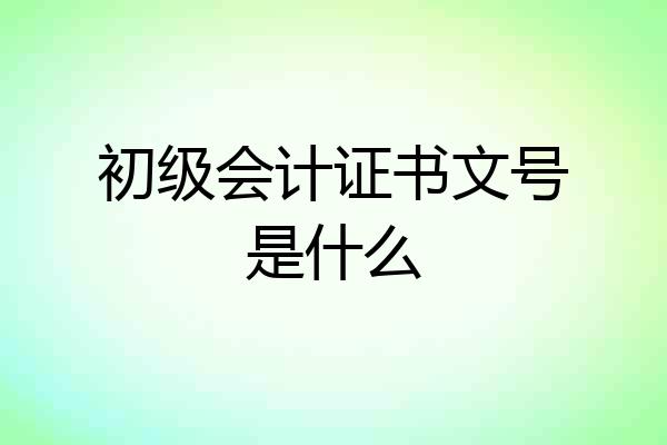 初级会计证书文号是什么