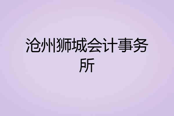 沧州狮城会计事务所