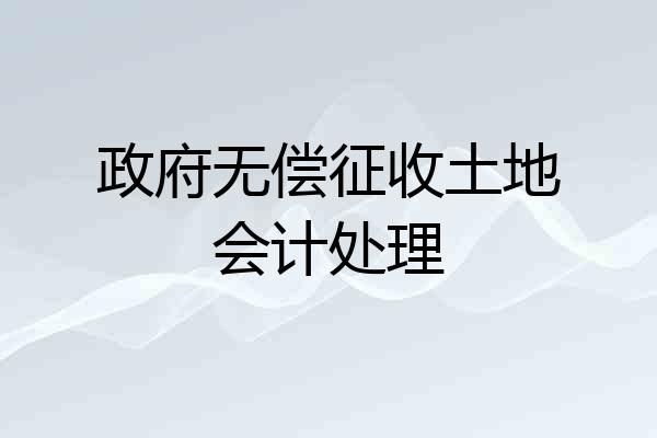 政府无偿征收土地会计处理
