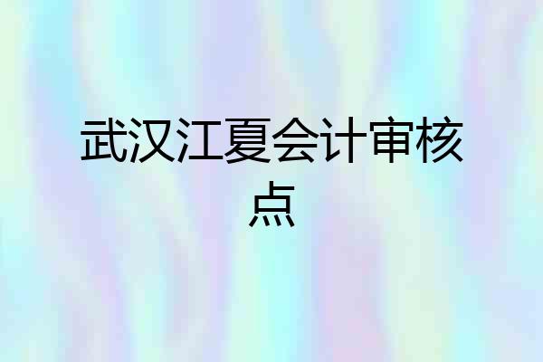 武汉江夏会计审核点