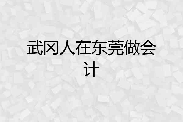 武冈人在东莞做会计