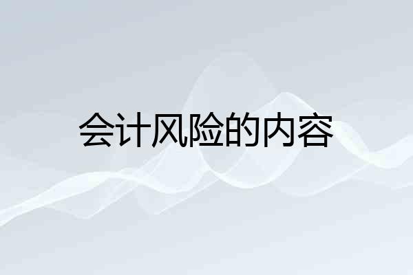会计风险的内容