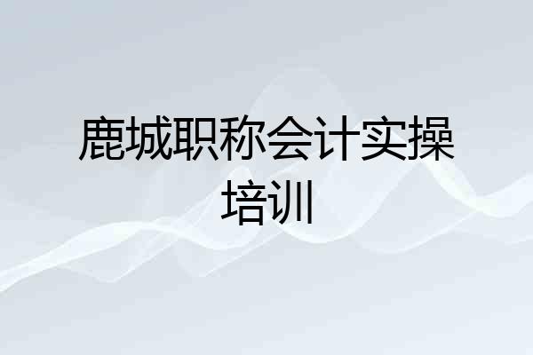 鹿城职称会计实操培训